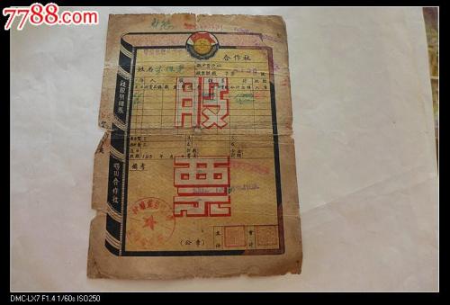 ��Ƶ����