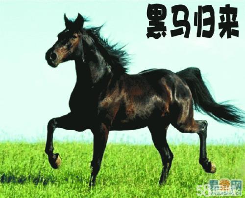 ��Ƶ����