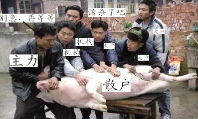 �ڻ���Ƶ����