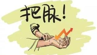 �ڻ���Ƶ����