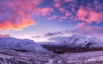 �ڻ���Ƶ����