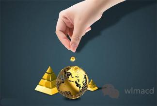 �ڻ���Ƶ����