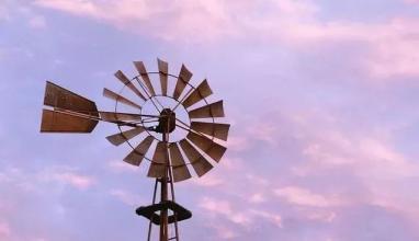 �ڻ���Ƶ����