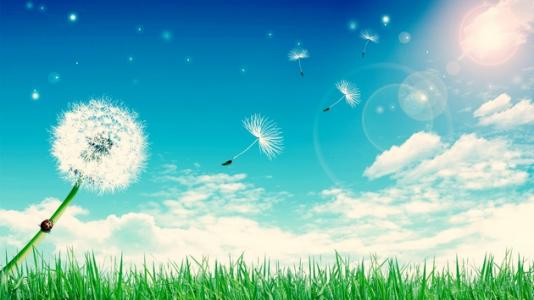 �ڻ���Ƶ����