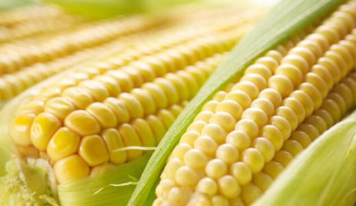 �ڻ���Ƶ����